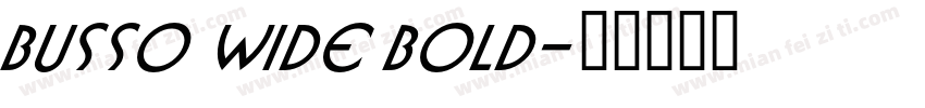 Busso Wide Bold字体转换